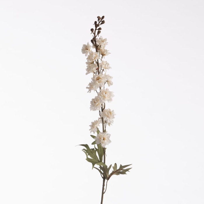 <h4>AF Delph Dried L85cm Cream</h4>