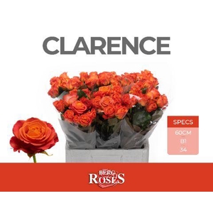 R GR CLARENCE+ @ B1