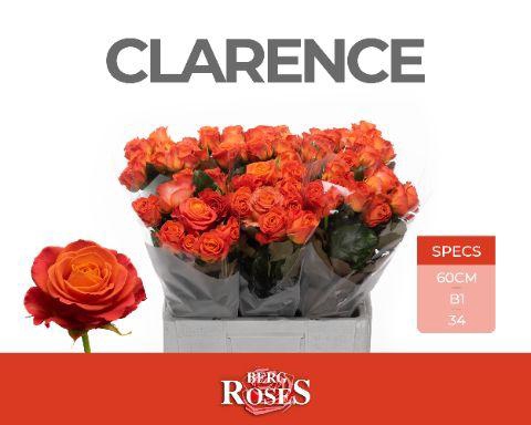 <h4>R GR CLARENCE+ @ B1</h4>