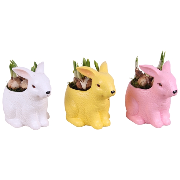 <h4>Easter Arr. Narcis Ceramic Colorful Easter Rabbit Mix Ø12cm 1PP</h4>