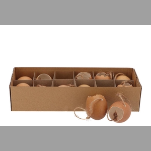 Eggs Chicken Pendant Brown P/12