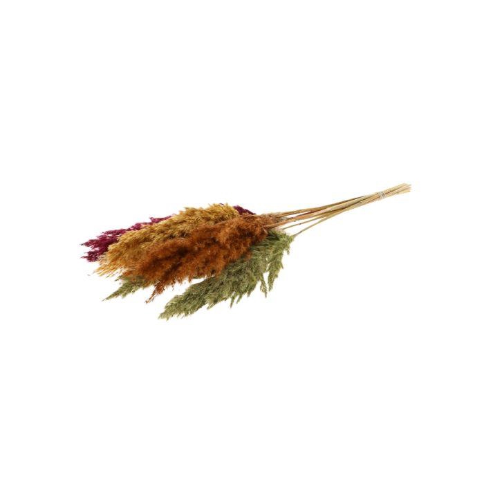 <h4>Palm Grass Autumn Mix</h4>