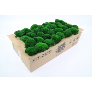 Bolmos Donkergroen Gepreserveerd 2,5 Kg