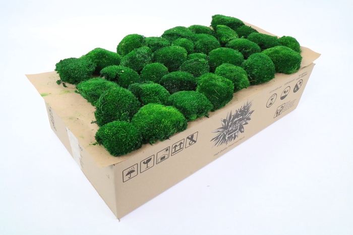 <h4>Bolmos Donkergroen Gepreserveerd 2,5 Kg</h4>