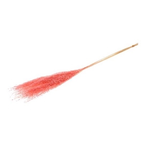 Bunch Grass  5 Pcs Slv L110