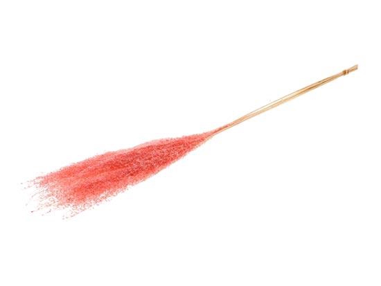 Bunch Grass  5 Pcs Slv L110