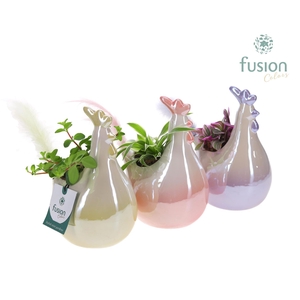 Pot keramiek Kip Pasen 3 kleuren Small met groene planten