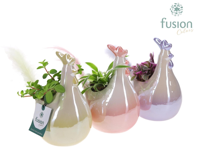 <h4>Pot keramiek Kip Pasen 3 kleuren Small met groene planten</h4>