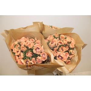 Anem Marianne Powder Orange