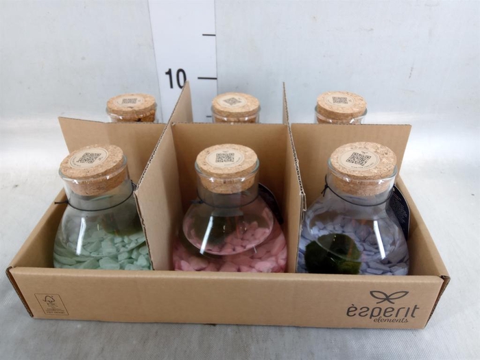 <h4>Arr.   Waterplanten L%</h4>