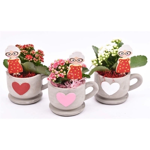 Cement kop/schotel met hart 13cm