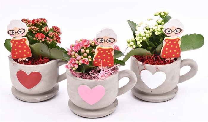 <h4>Cement kop/schotel met hart 13cm</h4>