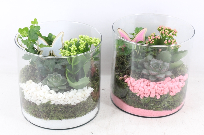 <h4>arr2 PL - Glas cilinder breed - roze/wit</h4>