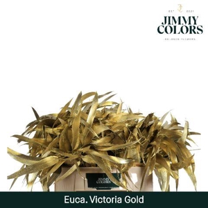 Victoriablad Gekleurd Mtlc. Goud