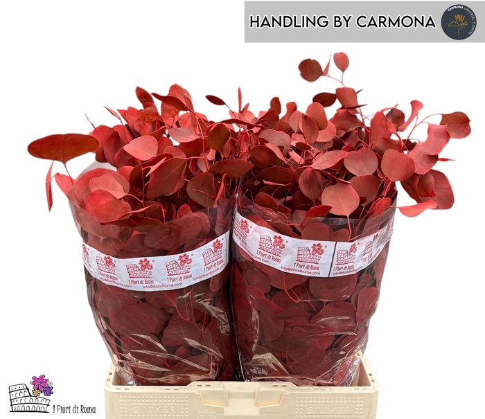 <h4>EUC POL KLB P BOS H%</h4>