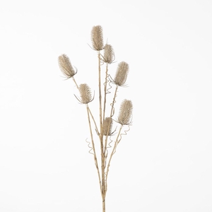 AF Dipsacus Spray L107cm White