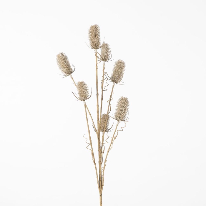 <h4>AF Dipsacus Spray L107cm White</h4>