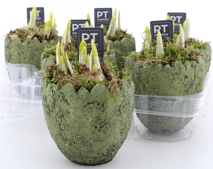 <h4>ARR N TETE A TETE</h4>