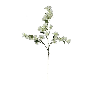 Stem Bougainvillea L104w34h10