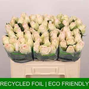 Rosa large high & bridal