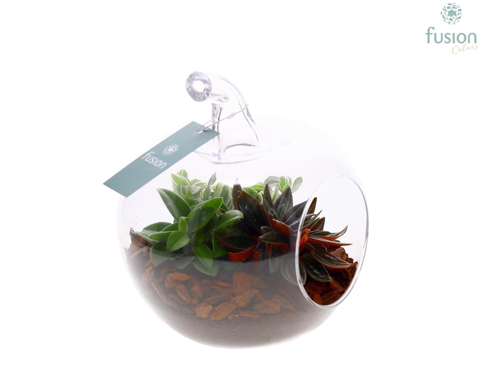 <h4>Glas appel helder met arrangement</h4>