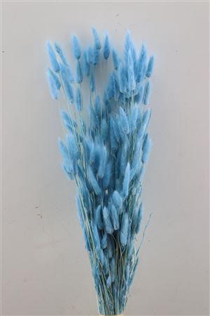 <h4>Dried Lagurus L Blue Bunch</h4>