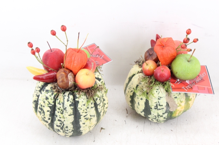 <h4>arr4 Sierfruit GB - Streep pomp. kl x6</h4>