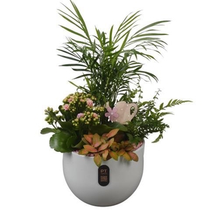 PTIB5155 Arrangement Indoor in keramiek pot