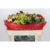 Hypericum Rainbow Romance Spray
