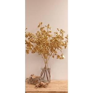 Blossom white Goud