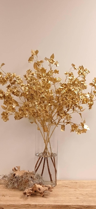 <h4>Blossom white Goud</h4>