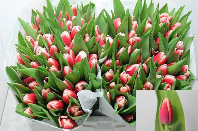 <h4>TU EN OUTFIT</h4>