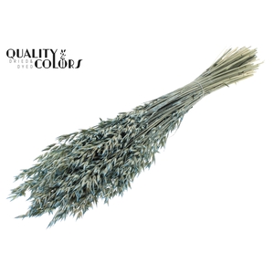 Avena per bunch Pearl Light Blue