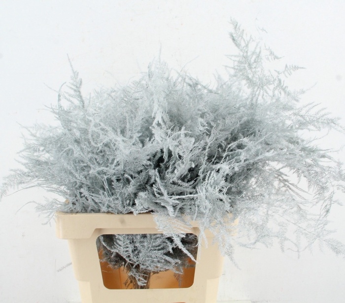 <h4>ASP OV KLB H%</h4>