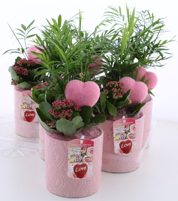 <h4>ARR KAMERPL</h4>