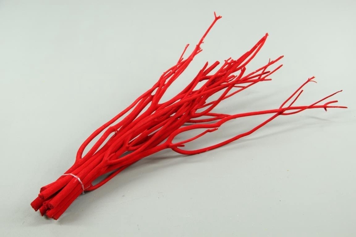 Mitsumata flock red bs(10)