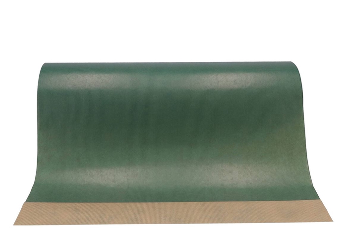 <h4>Paper 60cm Brown 12kg Dark Green</h4>