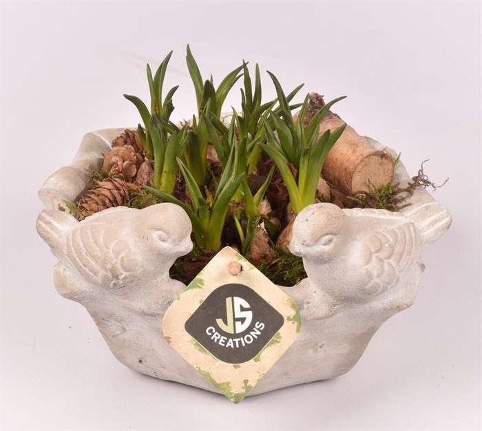 <h4>Cement vogelschaal 18cm</h4>