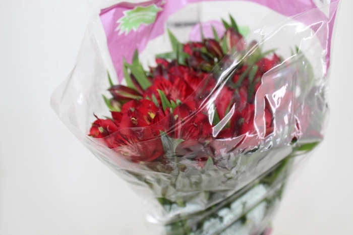 <h4>ALSTROEMERIA NATALYA 080 CM</h4>