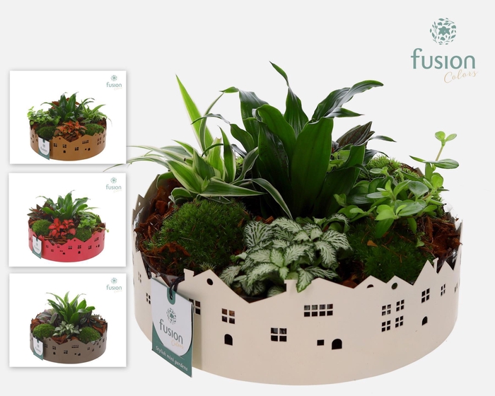 <h4>Zinken schaal Huisjes Large met arrangement</h4>