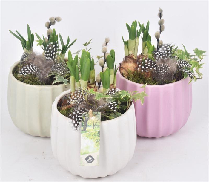 <h4>Keramiek pot kleur mix 14cm</h4>