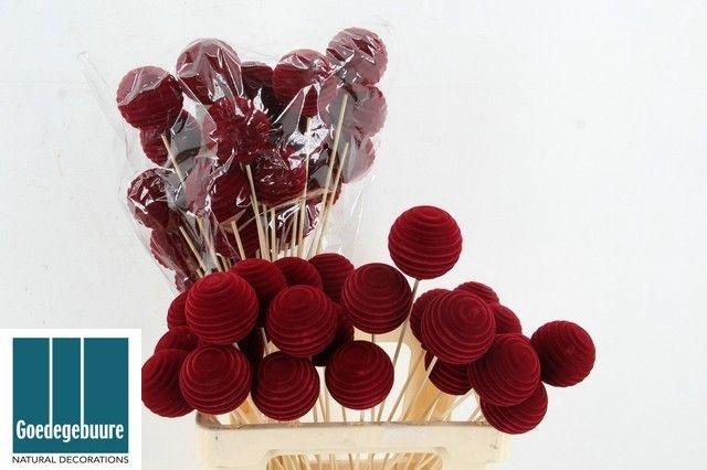 <h4>KERSTBAL OP STOK H%</h4>