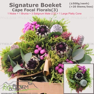PROTEA PER BOS