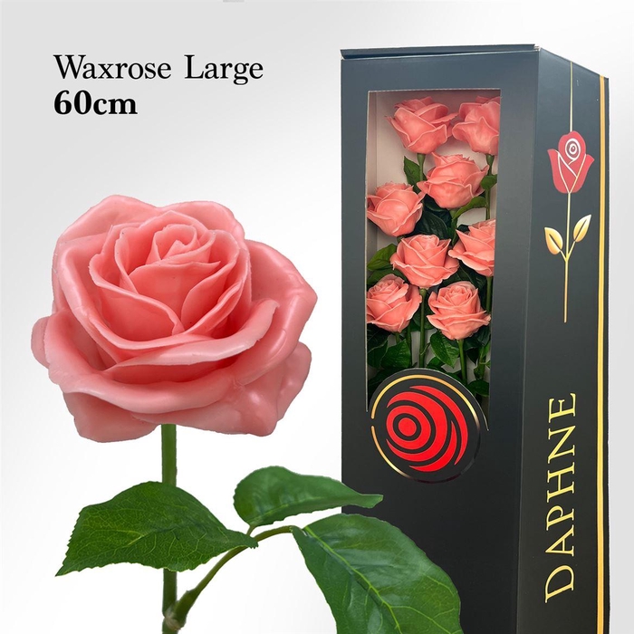 <h4>Wax Rose L Pink 60cm</h4>