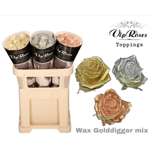 R GR WAX GOLDDIGGER MIX x30 998