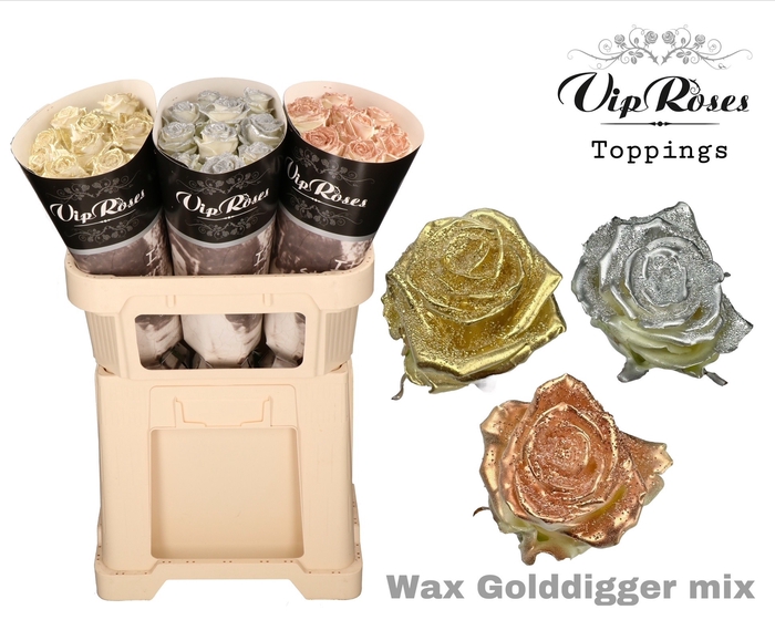 <h4>R GR WAX GOLDDIGGER MIX x30 998</h4>