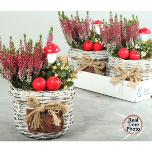 ARR GARDEN BASKET WHITE X3