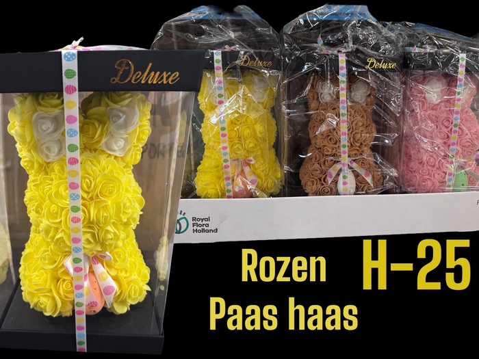 <h4>HUIS EN TUINDECO H%</h4>