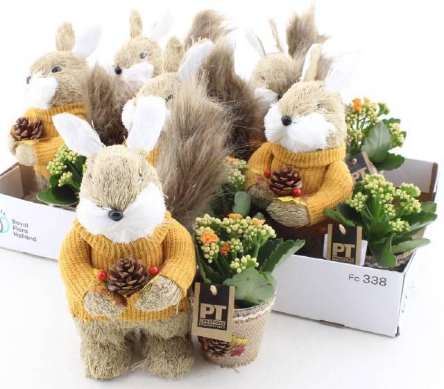 <h4>ARR KAMERPL</h4>