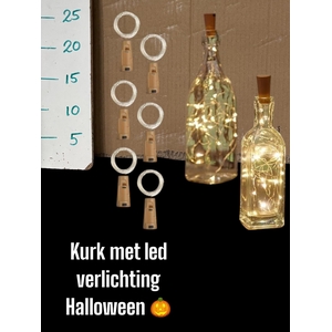 HUIS EN TUINDECO H%
